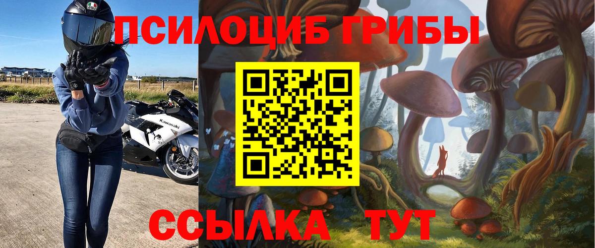 Псилоцибиновые грибы GOLDEN TEACHER Черкесск